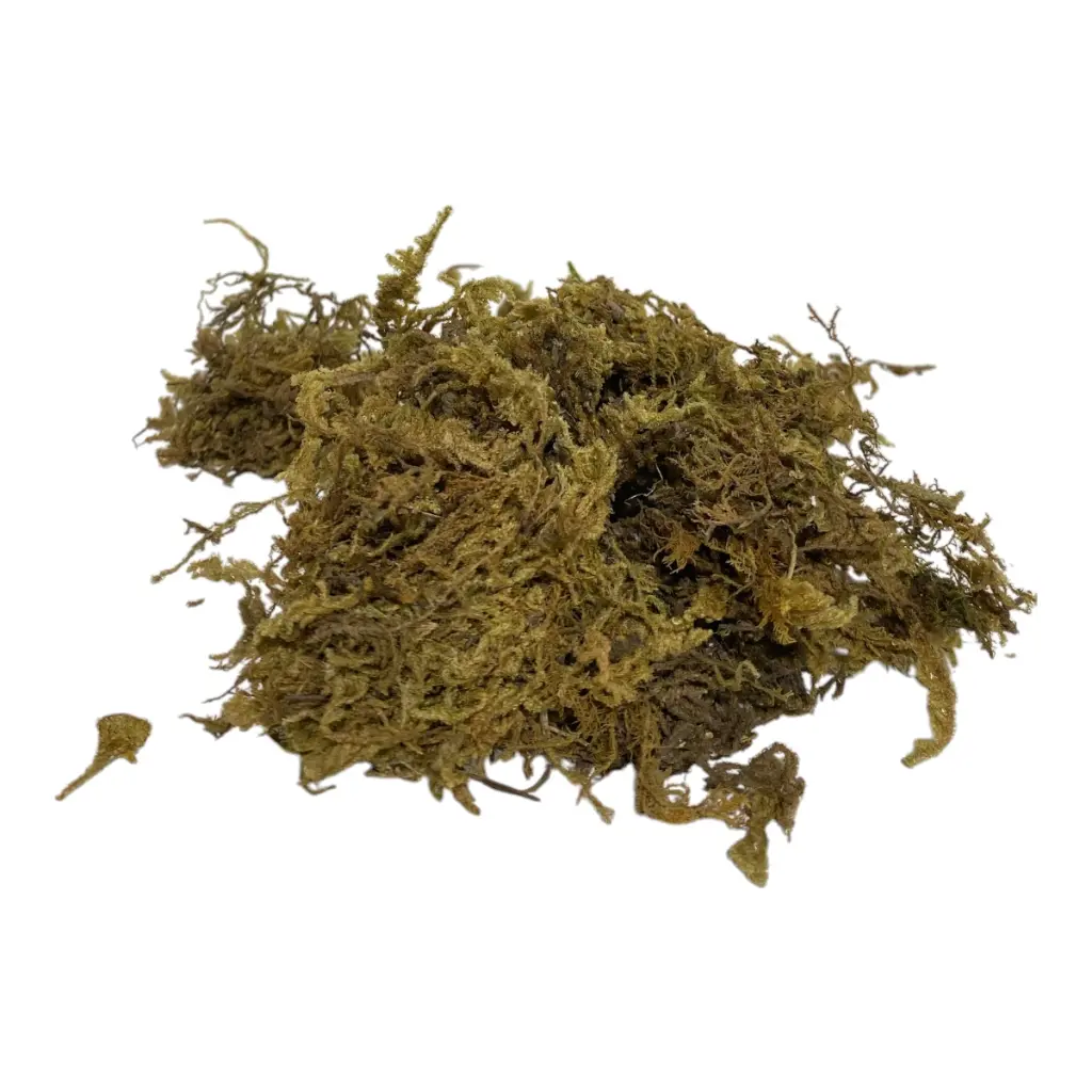 MUSGO ARTIFICIAL 400GR