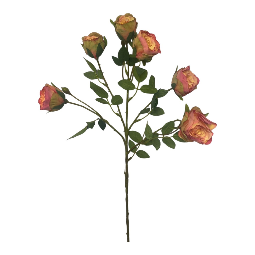 ROSA DOROTA 65CM