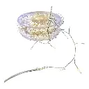 LUZ LED 30M X 1000L MICRO LED BLANCA/CALIDA REMOTO EN ROLLO 