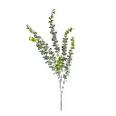 RAMA ARTIFICIAL EUCALIPTO VERDE/BLANCO 75CM 