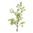 RAMA ARTIFICIAL GYSOPHILIA BLANCA/VERDE 70CM 3RAMAS