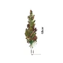 RAMA NAVIDEÑA PIÑAS FRUTOS CAFE CHOCOLATA 60CM