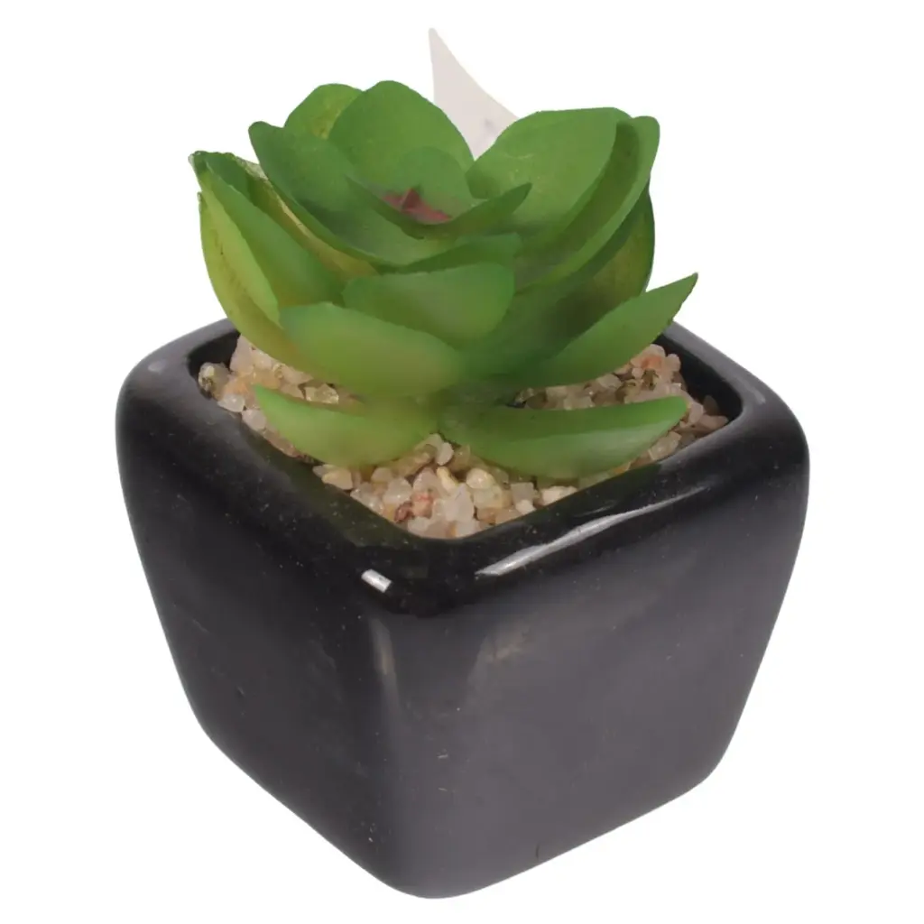SUCULENTA ARTF. EN MACETA REF:ES22714 5X7CM