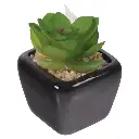 SUCULENTA ARTF. EN MACETA REF:ES22714 5X7CM