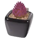 SUCULENTA ARTF. EN MACETA REF:ES22713 5X7CM  