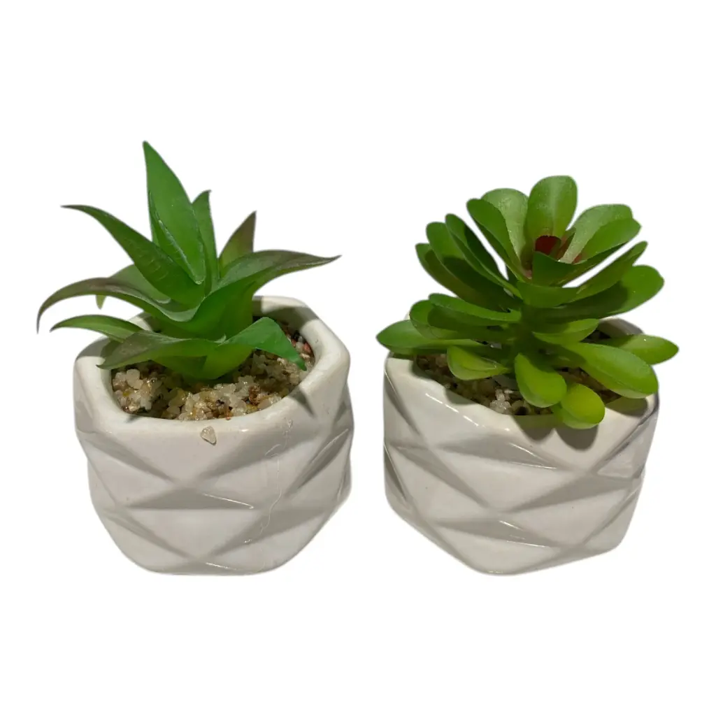 SUCULENTA ARTF. EN MACETA REF:ES22714 5X7CM