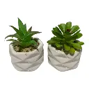 SUCULENTA ARTF. EN MACETA REF:ES22714 5X7CM