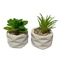 SUCULENTA ARTF. EN MACETA REF:ES22713 5X7CM  