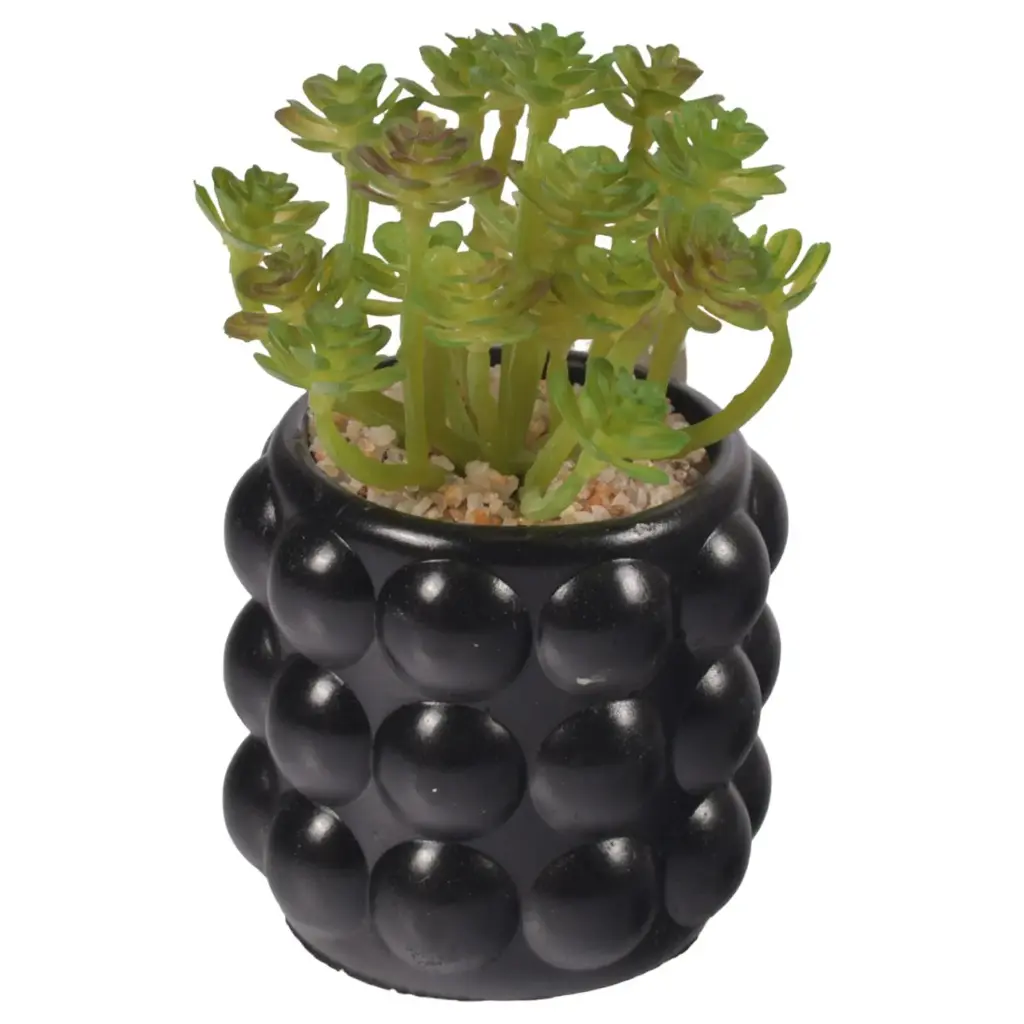 SUCULENTA ARTF. EN MACETA REF:ES22713 5X7CM  