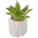SUCULENTA ARTF. EN MACETA CERAMICA REF:ES22771 8X13CM 
