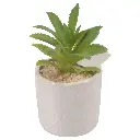 SUCULENTA ARTF. EN MACETA CERAMICA REF:ES22770 8X13CM 