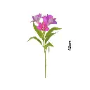 ORQUIDEA ARTF. PURPURA REF:CH15240552 47CM