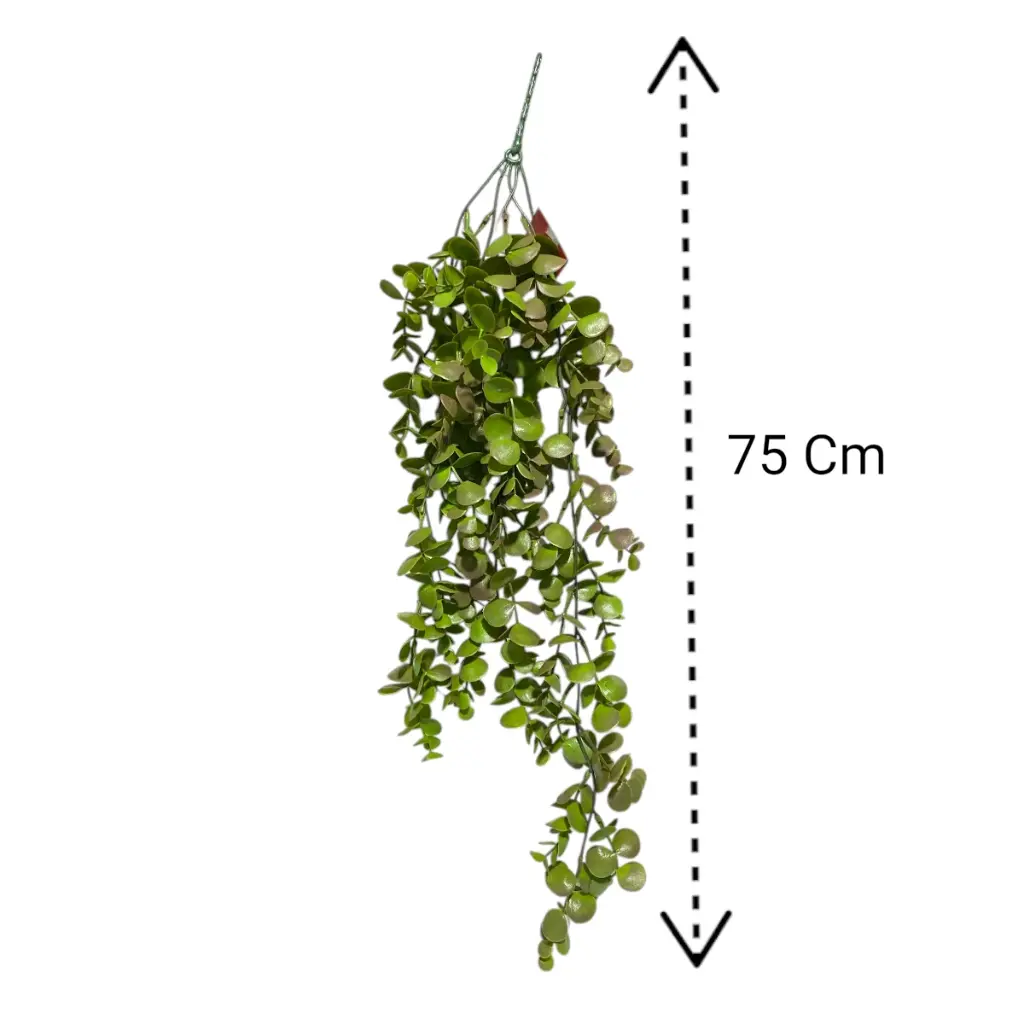 RAMA COLGANTE DISCH 75CM
