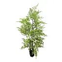 HELECHO ARTF. CON MACETA 115X65CM