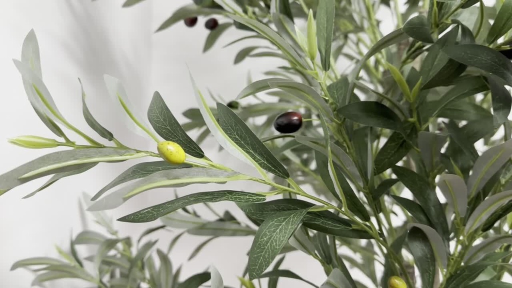 PLANTA DE OLIVO 150CM CON MACETA