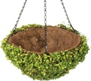 MACETA COLGANTE 20X13CM