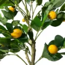 PLANTA DE LIMON ARTF. CON MACETA 120CM