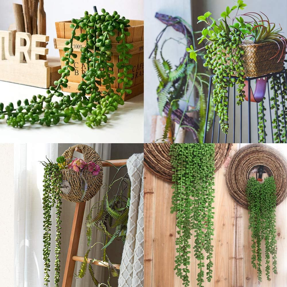 SUCULENTA COLGANTE 60CM