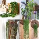 SUCULENTA COLGANTE 60CM