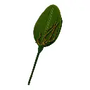HOJA DE ORQUIDEA PEQUEÑA 25X8CM