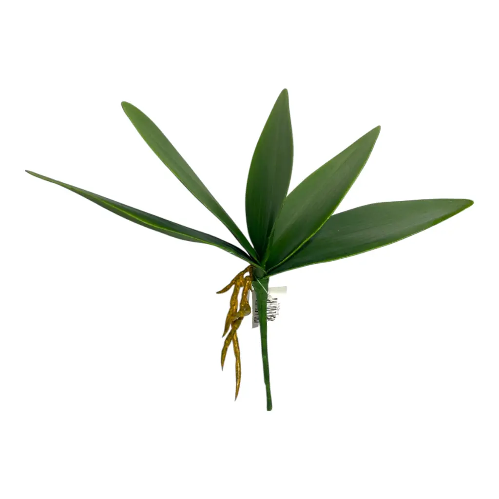 HOJA DE ORQUIDEA PEQUEÑA 25X8CM