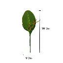 HOJA DE ORQUIDEA GRANDE 9X30CM