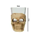 VASO SHOT CALABERA VIDRIO REF:ES28075 5X7CM