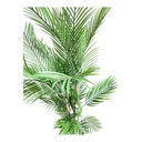 PALMA ARTIFICIAL 175CM