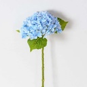 HORTENSIA 45CM