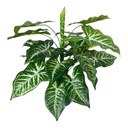 MACETERO PLANTA SYNGONIUM 50X40CM