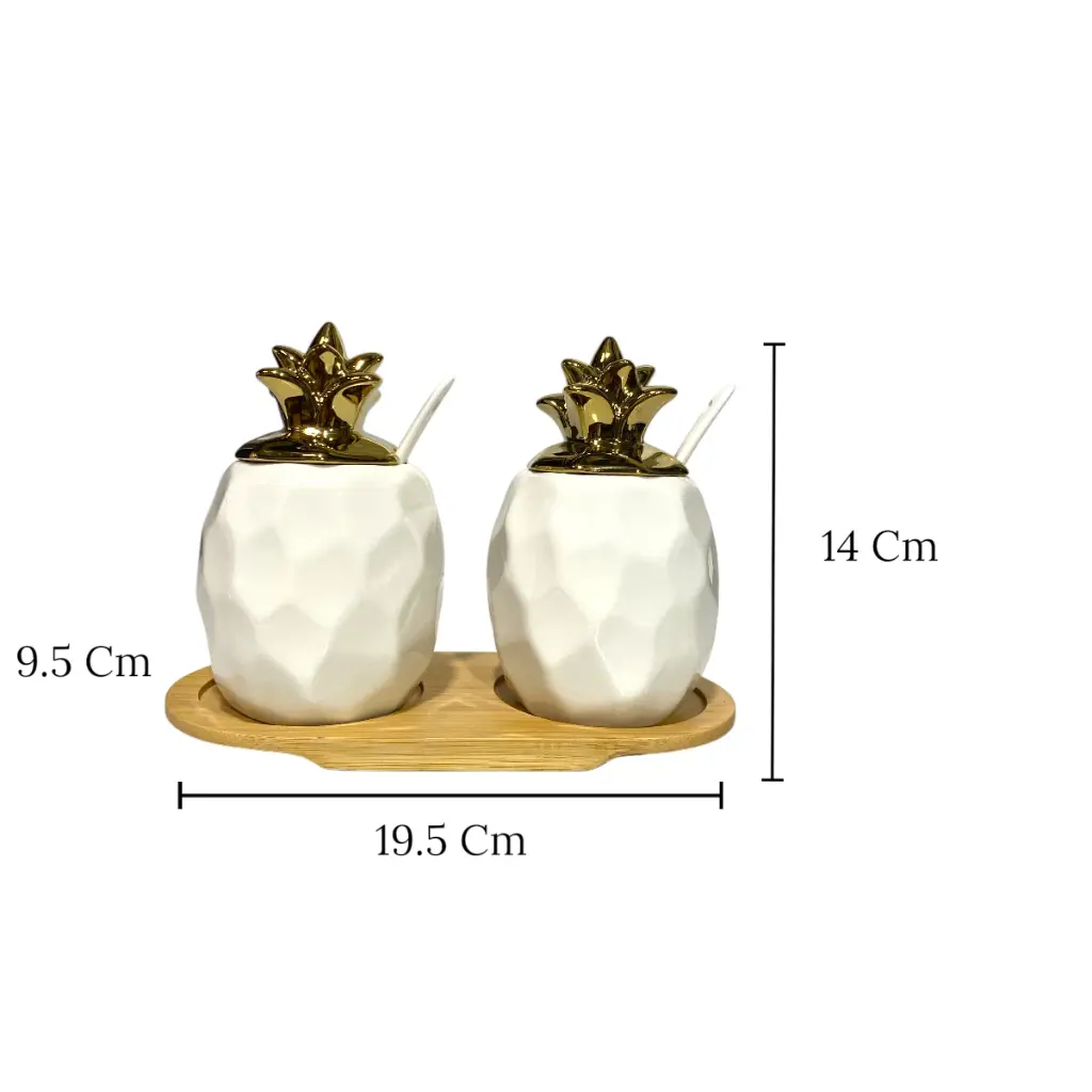 SET DE ENVASES DECORATIVOS DE CERAMICA 19.5X9.5X14CM