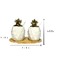 SET DE ENVASES DECORATIVOS DE CERAMICA 19.5X9.5X14CM