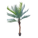 IC828-15 PLANTA ARTIFICIAL PHOENIX 190CM