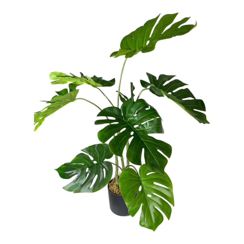 PLANTA MONSTERA CON MACETA  90CM