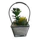 ARREGLO CACTUS EN CANASTA 23CM