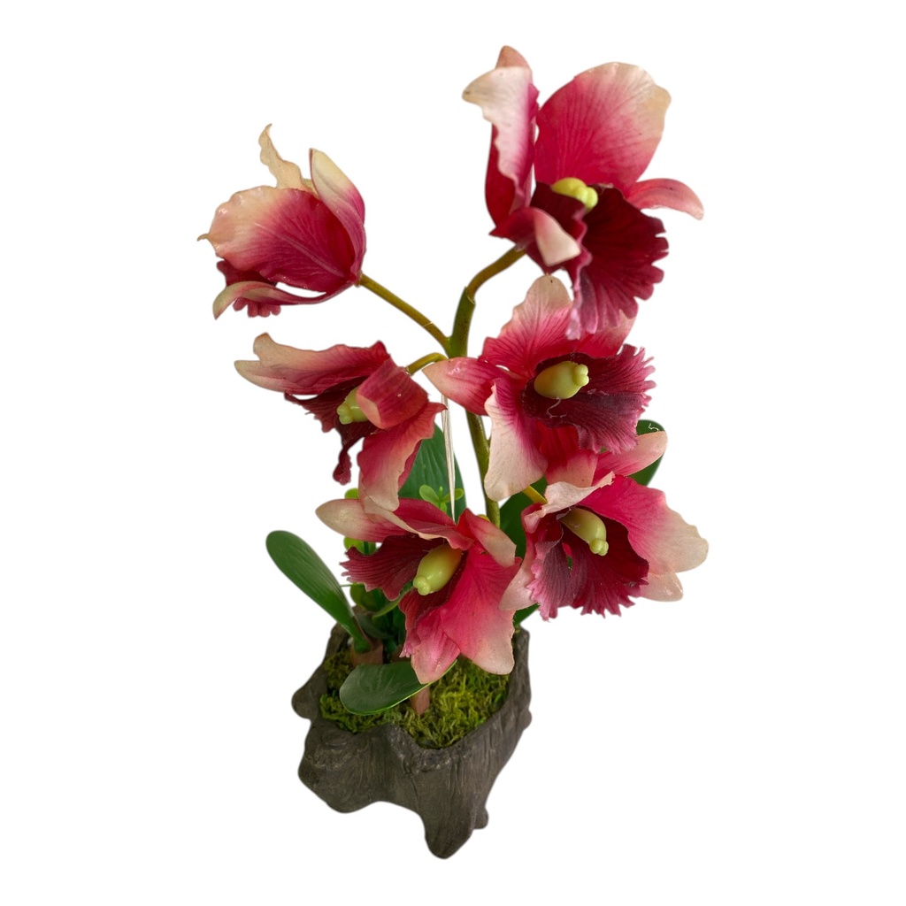 ORQUIDEA 5 FLORES CON MACETA EN FORMA DE TRONCO 33 CM