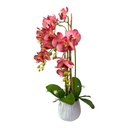 ORQUIDEA EN MACETA 70CM 24FLORES, 16 BROTES