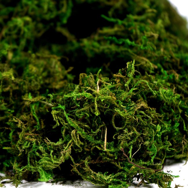 MUSGO ARTIFICIAL 300GR.