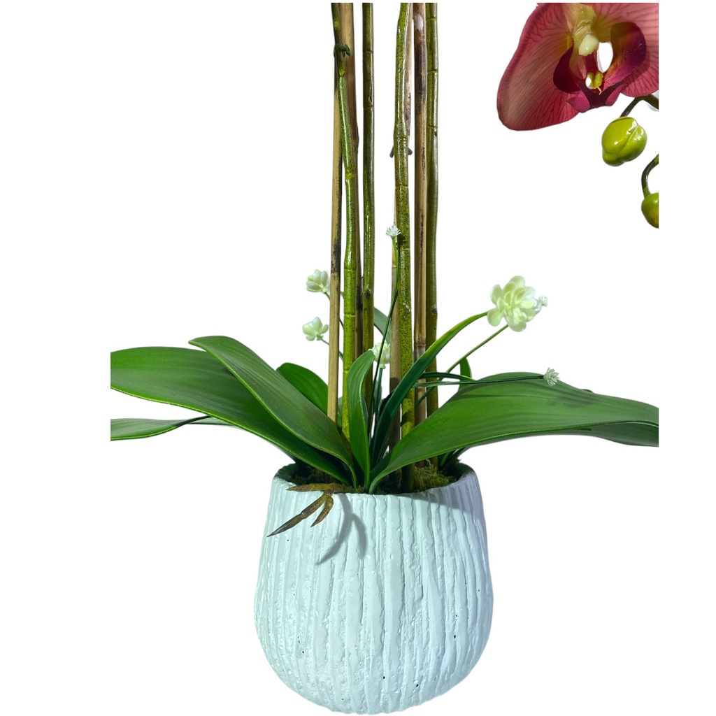 ORQUIDEA EN MACETA 70CM 24FLORES, 16 BROTES