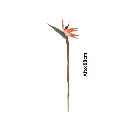 FLOR ARTIFICIAL STRELITZIA REF:CH12513087 98CM