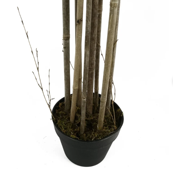 BAMBOO 180CM CON MACETA