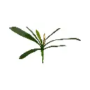 HOJA DE ORQUIDEA ARTF. REF:ME600-L  38CM