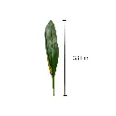 HOJA DE ORQUIDEA ARTF. REF:ME600-L  38CM