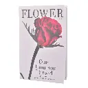 ES24834 LIBRO DECORATIVO 17X27X4.5CM