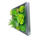 JARDIN CACTUS PARED 30X30CM