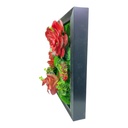 JARDIN CACTUS CUADRO DE PARED 30X30CM