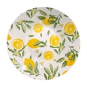 PLATO SOPERO DISEÑO LIMON DE PORCELANA 20.5X4CM  