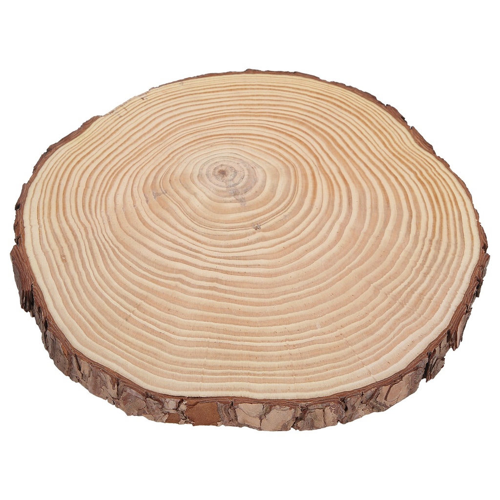 BANDEJA O BASE DE MADERA TRONCO 29X29X2CM