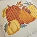 FORRO DE COJIN CALABAZA BORDADO RECTANGULAR 45X45CM