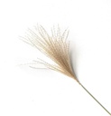 SET 3 PAMPAS NATURALES PEQUEÑAS 38CM